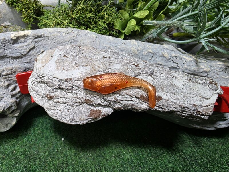 Chubby 4,2 cm MIEDŹ