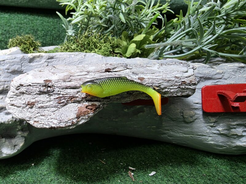 Chubby 4,2 cm SELEDYN CZARNY GRZBIET